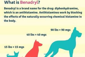 Dog Car Sickness: Safe Benadryl Dosage Guide My Caring Dog – Tips, Stories, and Care Guides for Loving Pet Owners Dog Car Sickness: Safe Benadryl Dosage Guide | My Caring Dog – Tips, Stories, and Care Guides for Loving Pet Owners