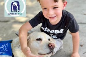 Best Canines for Car Companions My Caring Dog – Tips, Stories, and Care Guides for Loving Pet Owners Best Canines for Car Companions | My Caring Dog – Tips, Stories, and Care Guides for Loving Pet Owners