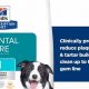 Hills Dental Care Dog Food | My Caring Dog – Tips, Stories, and Care Guides for Loving Pet Owners