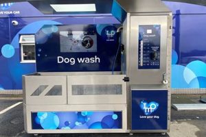 The Iron Horse Car & Dog Wash: Quick & Clean My Caring Dog – Tips, Stories, and Care Guides for Loving Pet Owners The Iron Horse Car & Dog Wash: Quick & Clean | My Caring Dog – Tips, Stories, and Care Guides for Loving Pet Owners