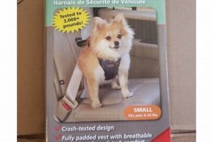 Solvit Dog Car Harness: Easy Setup Guide My Caring Dog – Tips, Stories, and Care Guides for Loving Pet Owners Solvit Dog Car Harness: Easy Setup Guide | My Caring Dog – Tips, Stories, and Care Guides for Loving Pet Owners