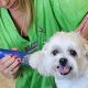 Tender Care Dog Grooming | My Caring Dog – Tips, Stories, and Care Guides for Loving Pet Owners