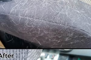 Best Way To Get Dog Hair Out Of Car My Caring Dog – Tips, Stories, and Care Guides for Loving Pet Owners Best Way To Get Dog Hair Out Of Car | My Caring Dog – Tips, Stories, and Care Guides for Loving Pet Owners