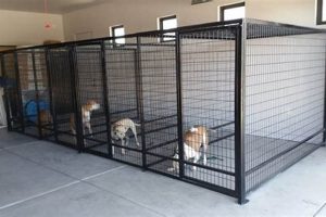 Top-Rated Pet Care Dog Kennels: Find the Best My Caring Dog – Tips, Stories, and Care Guides for Loving Pet Owners Top-Rated Pet Care Dog Kennels: Find the Best | My Caring Dog – Tips, Stories, and Care Guides for Loving Pet Owners