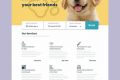 Top Websites About Dogs for Car Travel My Caring Dog – Tips, Stories, and Care Guides for Loving Pet Owners Top Websites About Dogs for Car Travel | My Caring Dog – Tips, Stories, and Care Guides for Loving Pet Owners