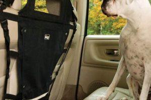 Top Dog Barriers for Cars: Safe Travel My Caring Dog – Tips, Stories, and Care Guides for Loving Pet Owners Top Dog Barriers for Cars: Safe Travel | My Caring Dog – Tips, Stories, and Care Guides for Loving Pet Owners