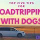 Ultimate Guide: Dog Car Rides (Long Trips) | My Caring Dog – Tips, Stories, and Care Guides for Loving Pet Owners