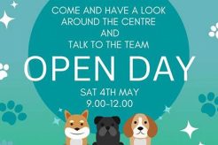 Best Pawprints Dog Day Care | Top Services My Caring Dog – Tips, Stories, and Care Guides for Loving Pet Owners Best Pawprints Dog Day Care | Top Services | My Caring Dog – Tips, Stories, and Care Guides for Loving Pet Owners