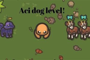 Aci Dog My Caring Dog – Tips, Stories, and Care Guides for Loving Pet Owners Aci Dog | My Caring Dog – Tips, Stories, and Care Guides for Loving Pet Owners