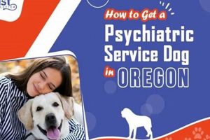 Best Psychiatric Service Dogs in Oregon: Your Guide My Caring Dog – Tips, Stories, and Care Guides for Loving Pet Owners Best Psychiatric Service Dogs in Oregon: Your Guide | My Caring Dog – Tips, Stories, and Care Guides for Loving Pet Owners