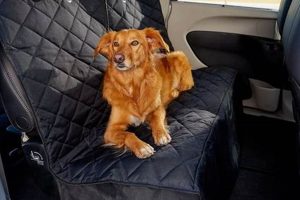 Best 4knines.com Car Seat Covers for Dogs My Caring Dog – Tips, Stories, and Care Guides for Loving Pet Owners Best 4knines.com Car Seat Covers for Dogs | My Caring Dog – Tips, Stories, and Care Guides for Loving Pet Owners