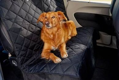 Best 4knines.com Car Seat Covers for Dogs My Caring Dog – Tips, Stories, and Care Guides for Loving Pet Owners Best 4knines.com Car Seat Covers for Dogs | My Caring Dog – Tips, Stories, and Care Guides for Loving Pet Owners