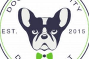 Best Car Dog Communities: Join & Share My Caring Dog – Tips, Stories, and Care Guides for Loving Pet Owners Best Car Dog Communities: Join & Share | My Caring Dog – Tips, Stories, and Care Guides for Loving Pet Owners