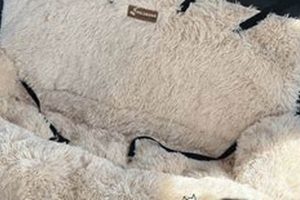 Top Pelsbarn Dog Car Seat: Safe & Secure My Caring Dog – Tips, Stories, and Care Guides for Loving Pet Owners Top Pelsbarn Dog Car Seat: Safe & Secure | My Caring Dog – Tips, Stories, and Care Guides for Loving Pet Owners