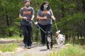 Best Helper Dogs for Car Travel & Road Trips My Caring Dog – Tips, Stories, and Care Guides for Loving Pet Owners Best Helper Dogs for Car Travel & Road Trips | My Caring Dog – Tips, Stories, and Care Guides for Loving Pet Owners