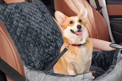 Top Cute Dog Car Seats for Safe Travels My Caring Dog – Tips, Stories, and Care Guides for Loving Pet Owners Top Cute Dog Car Seats for Safe Travels | My Caring Dog – Tips, Stories, and Care Guides for Loving Pet Owners