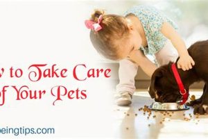Easy Care Pet Dogs: Simple Guide for Beginners My Caring Dog – Tips, Stories, and Care Guides for Loving Pet Owners Easy Care Pet Dogs: Simple Guide for Beginners | My Caring Dog – Tips, Stories, and Care Guides for Loving Pet Owners