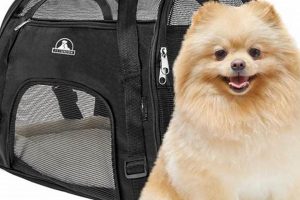 Best Small Dog Car Carriers: Safe & Secure Travel My Caring Dog – Tips, Stories, and Care Guides for Loving Pet Owners Best Small Dog Car Carriers: Safe & Secure Travel | My Caring Dog – Tips, Stories, and Care Guides for Loving Pet Owners