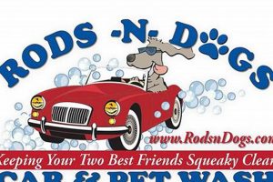 Rod's N Dogs Car Wash: Best Wash for Your Pup & Car My Caring Dog – Tips, Stories, and Care Guides for Loving Pet Owners Rod's N Dogs Car Wash: Best Wash for Your Pup & Car | My Caring Dog – Tips, Stories, and Care Guides for Loving Pet Owners