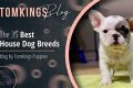 Best Car Homes & Travel Crates for Dogs My Caring Dog – Tips, Stories, and Care Guides for Loving Pet Owners Best Car Homes & Travel Crates for Dogs | My Caring Dog – Tips, Stories, and Care Guides for Loving Pet Owners