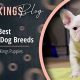 Best Car Homes & Travel Crates for Dogs | My Caring Dog – Tips, Stories, and Care Guides for Loving Pet Owners