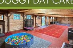 Best Dog Day Care in Peterborough | Top Kennels My Caring Dog – Tips, Stories, and Care Guides for Loving Pet Owners Best Dog Day Care in Peterborough | Top Kennels | My Caring Dog – Tips, Stories, and Care Guides for Loving Pet Owners