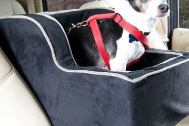 Top Luxury Dog Car Seats for Safe Travel My Caring Dog – Tips, Stories, and Care Guides for Loving Pet Owners Top Luxury Dog Car Seats for Safe Travel | My Caring Dog – Tips, Stories, and Care Guides for Loving Pet Owners