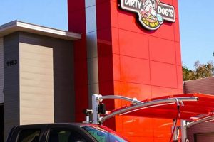 Brooksville's Dirty Dogs Car Wash: Best Dog Wash My Caring Dog – Tips, Stories, and Care Guides for Loving Pet Owners Brooksville's Dirty Dogs Car Wash: Best Dog Wash | My Caring Dog – Tips, Stories, and Care Guides for Loving Pet Owners
