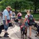 Service Dog Ohio | My Caring Dog – Tips, Stories, and Care Guides for Loving Pet Owners
