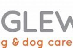 Top Wigglewag Training & Dog Care Services My Caring Dog – Tips, Stories, and Care Guides for Loving Pet Owners Top Wigglewag Training & Dog Care Services | My Caring Dog – Tips, Stories, and Care Guides for Loving Pet Owners