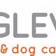 Top Wigglewag Training & Dog Care Services | My Caring Dog – Tips, Stories, and Care Guides for Loving Pet Owners