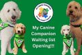Coping With Canine Loss: A Car Dog Owner's Guide My Caring Dog – Tips, Stories, and Care Guides for Loving Pet Owners Coping With Canine Loss: A Car Dog Owner's Guide | My Caring Dog – Tips, Stories, and Care Guides for Loving Pet Owners