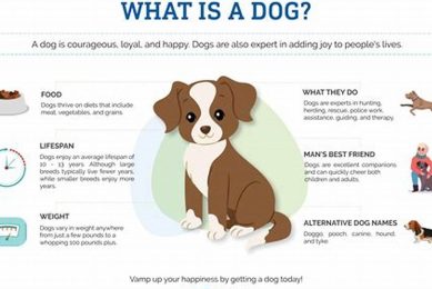 Learn About Dogs My Caring Dog – Tips, Stories, and Care Guides for Loving Pet Owners Learn About Dogs | My Caring Dog – Tips, Stories, and Care Guides for Loving Pet Owners