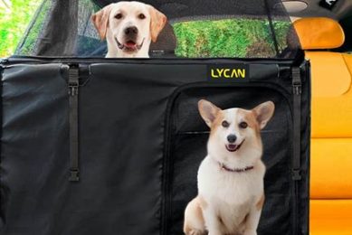 Best Anti-Anxiety Dog Car Seats for Safe Travel My Caring Dog – Tips, Stories, and Care Guides for Loving Pet Owners Best Anti-Anxiety Dog Car Seats for Safe Travel | My Caring Dog – Tips, Stories, and Care Guides for Loving Pet Owners