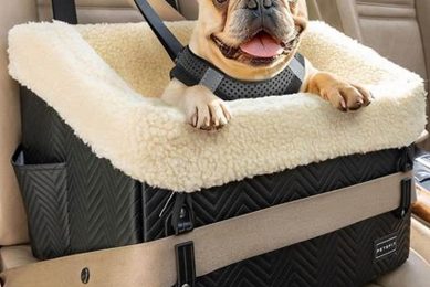 Top 5 Best Car Dog Seats for Safe Travels My Caring Dog – Tips, Stories, and Care Guides for Loving Pet Owners Top 5 Best Car Dog Seats for Safe Travels | My Caring Dog – Tips, Stories, and Care Guides for Loving Pet Owners
