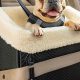 Top 5 Best Car Dog Seats for Safe Travels | My Caring Dog – Tips, Stories, and Care Guides for Loving Pet Owners
