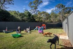 Best Dog Day Care Center in Dural: Top Care My Caring Dog – Tips, Stories, and Care Guides for Loving Pet Owners Best Dog Day Care Center in Dural: Top Care | My Caring Dog – Tips, Stories, and Care Guides for Loving Pet Owners