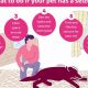 Find Seizure Alert Dogs Near You | My Caring Dog – Tips, Stories, and Care Guides for Loving Pet Owners