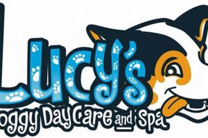 Lucys Dog Care My Caring Dog – Tips, Stories, and Care Guides for Loving Pet Owners Lucys Dog Care | My Caring Dog – Tips, Stories, and Care Guides for Loving Pet Owners