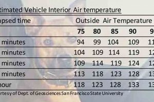 Dog Car Temperature Chart: Risks & Safety My Caring Dog – Tips, Stories, and Care Guides for Loving Pet Owners Dog Car Temperature Chart: Risks & Safety | My Caring Dog – Tips, Stories, and Care Guides for Loving Pet Owners