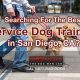 Best Service Dog Training in San Diego CA | My Caring Dog – Tips, Stories, and Care Guides for Loving Pet Owners