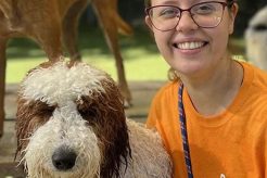 Top Dog Day Care in Sarasota, FL: Best Centers My Caring Dog – Tips, Stories, and Care Guides for Loving Pet Owners Top Dog Day Care in Sarasota, FL: Best Centers | My Caring Dog – Tips, Stories, and Care Guides for Loving Pet Owners