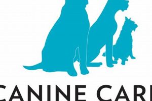 Essential Canine Care Tips for Happy Dogs My Caring Dog – Tips, Stories, and Care Guides for Loving Pet Owners Essential Canine Care Tips for Happy Dogs | My Caring Dog – Tips, Stories, and Care Guides for Loving Pet Owners
