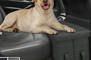 Best Car Dog Seat Extenders for Safe Travels My Caring Dog – Tips, Stories, and Care Guides for Loving Pet Owners Best Car Dog Seat Extenders for Safe Travels | My Caring Dog – Tips, Stories, and Care Guides for Loving Pet Owners