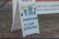 Cat Shelter St Louis My Caring Dog – Tips, Stories, and Care Guides for Loving Pet Owners Cat Shelter St Louis | My Caring Dog – Tips, Stories, and Care Guides for Loving Pet Owners