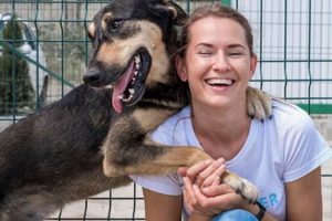 Service Dog Grants For Individuals My Caring Dog – Tips, Stories, and Care Guides for Loving Pet Owners Service Dog Grants For Individuals | My Caring Dog – Tips, Stories, and Care Guides for Loving Pet Owners