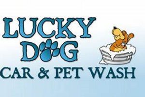 Lucky Dog Car & Pet Wash: Best in Town! My Caring Dog – Tips, Stories, and Care Guides for Loving Pet Owners Lucky Dog Car & Pet Wash: Best in Town! | My Caring Dog – Tips, Stories, and Care Guides for Loving Pet Owners
