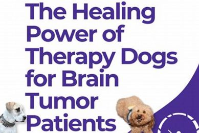 Certified American Therapy Dogs: Car Companions My Caring Dog – Tips, Stories, and Care Guides for Loving Pet Owners Certified American Therapy Dogs: Car Companions | My Caring Dog – Tips, Stories, and Care Guides for Loving Pet Owners
