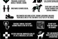 Essential Dog Ownership Responsibilities for Car Owners My Caring Dog – Tips, Stories, and Care Guides for Loving Pet Owners Essential Dog Ownership Responsibilities for Car Owners | My Caring Dog – Tips, Stories, and Care Guides for Loving Pet Owners
