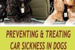 Best Tips for Treating Car Sickness in Dogs Effectively My Caring Dog – Tips, Stories, and Care Guides for Loving Pet Owners Best Tips for Treating Car Sickness in Dogs Effectively | My Caring Dog – Tips, Stories, and Care Guides for Loving Pet Owners